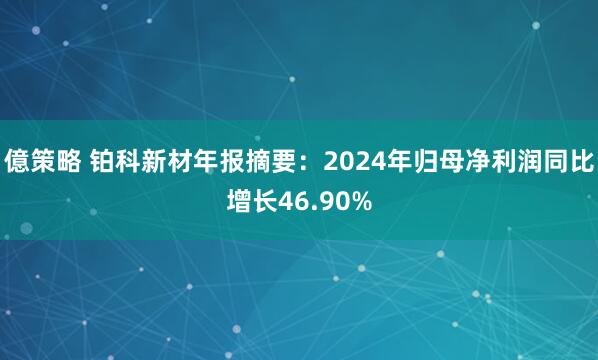億策略 铂科新材年报摘要：2024年归母净利润同比增长46.90%
