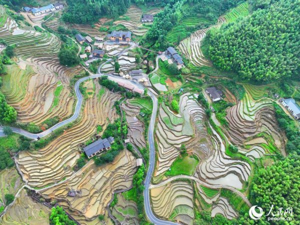 广信配资 江西崇义：盛夏梯田 层叠如画