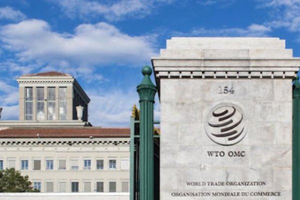 金谷子 世贸组织任命新任副总干事