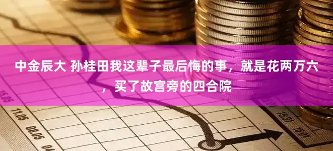 中金辰大 孙桂田我这辈子最后悔的事，就是花两万六，买了故宫旁的四合院